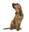 Saint-Hubert dog, sitting and looking up