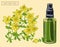 Saint Johns wort blooming branch and sprayer