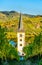 Saint Lawrence Church seen through vines at Bremm, Germany