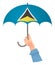 Saint Lucia flag umbrella
