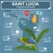 Saint Lucia infographics, statistical data, sights. Amazona versicolor parrot, national symbol