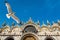 Saint Mark`s Basilica and flying seagull in Venice