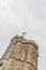 The Saint-Nicolas tower in La Rochelle