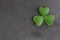 Saint Patrick Day background with clover or shamrock