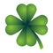 Saint Patrick lucky irish day green clover symbol