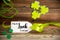 Saint Patrick's Day Decoration, Label With English Text May The Luck Be With You