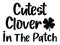 Saint Patrick`s Day Design - Cutest Clover in the Patch 2