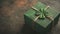 Saint Patrick\\\'s day holiday green gift box with shamrock decoration. Closeup view