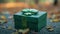 Saint Patrick\\\'s day holiday green gift box with shamrock decoration. Closeup view