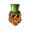 Saint Patrick s Day. Leprechaun with green hat, red mustache and beard and sunglasses. Vector.