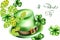 Saint Patrick`s Day watercolor green hat and shamrock sprig, artichoke decorations