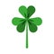 Saint patricks clover icon