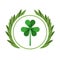 Saint patricks clover icon