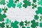 Saint Patricks Day background with green shamrock on white rustic board top view.