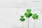 Saint Patricks Day background with green shamrock on white texture top view.