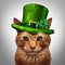 Saint Patricks Day Cat