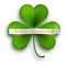 Saint Patricks Day greeting card, realistic shamrock leaf isolated on white