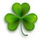 Saint Patricks Day symbol, vector realistic shamrock leaf