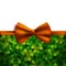 Saint Patricks Day vector background, realistic shamrock leaves and orange bow