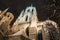 The Saint Paul`s Church front fragment at night in winter time, Munich, Bavaria, Germany