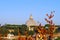 Saint peter basilic view from vegetation