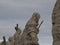 Saint peter basilica rome view from rooftop statue detail