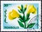 Saint Petersburg, Russia - February 06, 2020: Postage stamp issued in Mongolia with the image of Thermopsis lanceolata, circa 1966