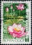 Saint Petersburg, Russia - February 17, 2020: Postage stamp issued in the Soviet Union with the image of the Pink Lotus, Nelumbo