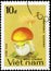 Saint Petersburg, Russia - May 31, 2020: Postage stamp issued in the Vietnam with the image of the Caesar mushroom, Amanita