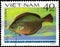 Saint Petersburg, Russia - May 31, 2020: Postage stamp issued in the Vietnam with the image of the Indian Halibut, Psettodes