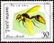 Saint Petersburg, Russia - May 31, 2020: Postage stamp issued in the Vietnam with the image of the Wasp, Eumenes esuriens. From