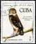 Saint Petersburg, Russia - November 12, 2020: Postage stamp issued in the Cuba with the image of theCuban Pygmy Owl, Glaucidium