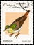 Saint Petersburg, Russia - September 18, 2020: Postage stamp issued in the Cuba the image of the Key West Quail-dove. Geotrygon