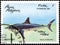 Saint Petersburg, Russia - September 18, 2020: Postage stamp issued in the Cuba the image of the Shortfin Mako Shark, Isurus