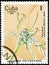 Saint Petersburg, Russia - September 18, 2020: Postage stamp issued in the Cuba the image of the Spider Lily, Pancratium