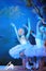 The Saint-Petersburg State Ballet on ice - Swan Lake