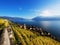 Saint Saphorin in Lavaux vineyards, Switzerland