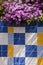 Saisies at garden and decorative tiles outdoors