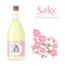 Sake in glass bottle and branch of blossoming pink sakura isolated on  white background. Vector illustration of Japanese rice wine