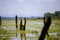 SakonNakhon, Thailand - September 16, 2019 : Hard work of fisherman. Morning work on swamp