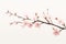 Sakura beauty flower branch blossoming cherry floral pink background nature season tree spring