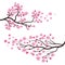 Sakura Beauty flower Vector icon