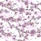 Sakura in bloom, seamless pattern, tender floral illustration