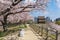 Sakura blooming at Fukuoka castle, Japan