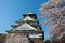 Sakura blossom at Osaka Castle