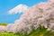 Sakura blossoms and Mountain Fuji