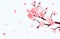 Sakura branch. Cherry blossom with falling petals of pink flowers, Japanese sakura season banner vector illustration