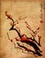 Sakura, cherry blossom plum chinese brush painting