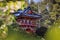 Sakura cherry blossom, San Francisco Golden Gate Park Japanese Tea Garden pagoda