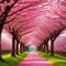 Sakura Cherry blossoming Wonderful scenic park with rows of blooming cherry sakura trees in Pink flowers of cherry digital art
